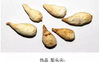 如何辨别中药饮片质量 从外观到内涵的鉴别指南