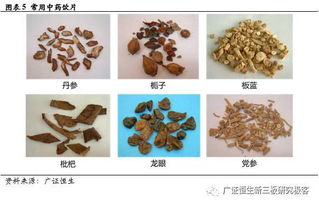 源和药业（833379） 新渠道拓展与新产品布局，中药饮片业务增长可期